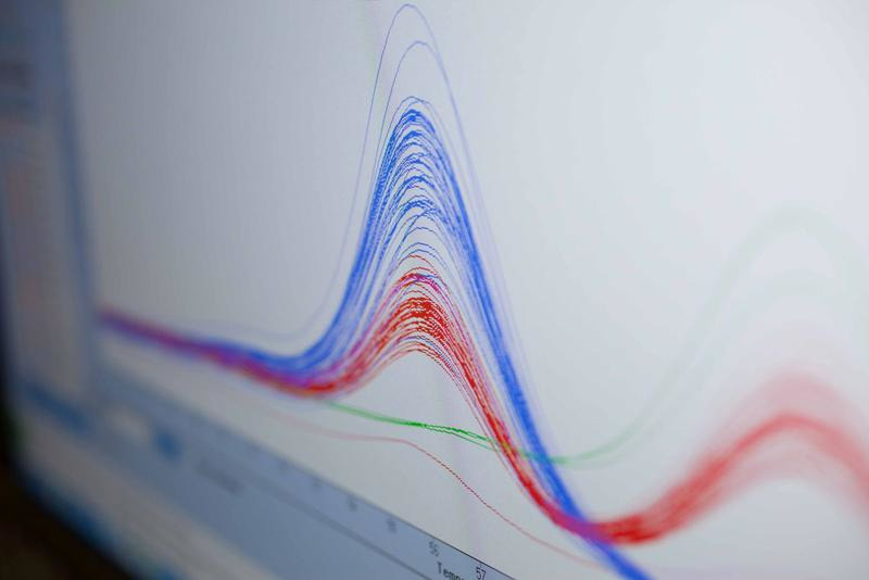 Analyseergebnis
